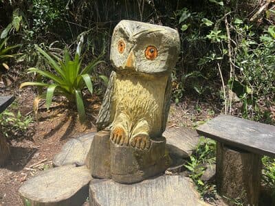 Parque Arvi Aug 3, 2025 - 14 of 34.jpeg