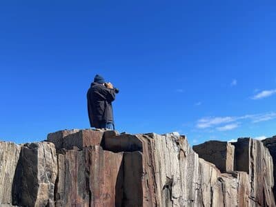 Dorking out Photographing Seabirds