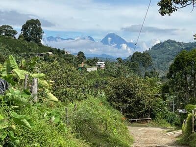 Jardin Aug 5 - 91 of 141.jpeg