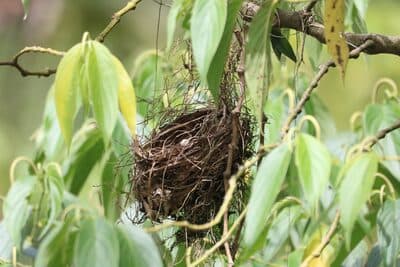 Jardin Aug 6 - 183 of 216.jpeg