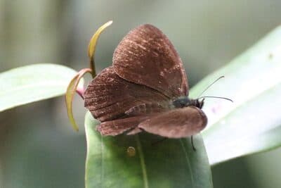 Parque Arvi Aug 3, 2025 - 26 of 34.jpeg