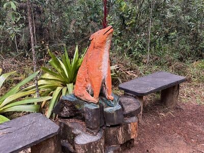 Parque Arvi Aug 3, 2025 - 13 of 34.jpeg