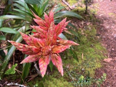 Parque Arvi Aug 3, 2025 - 12 of 34.jpeg