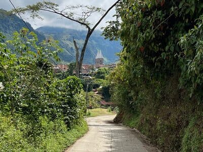 Jardin Aug 5 - 48 of 141.jpeg