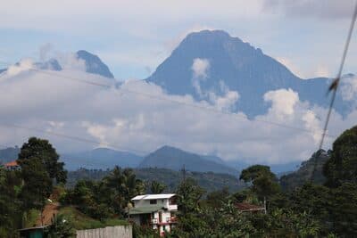 Jardin Aug 5 - 90 of 141.jpeg