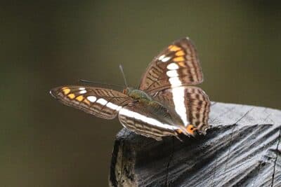 Parque Arvi Aug 3, 2025 - 34 of 34.jpeg