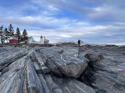Being a Bird Dork at Pemaquid Point Lighthouse