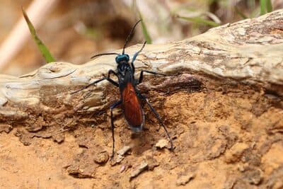 Parque Arvi Aug 3, 2025 - 23 of 34.jpeg